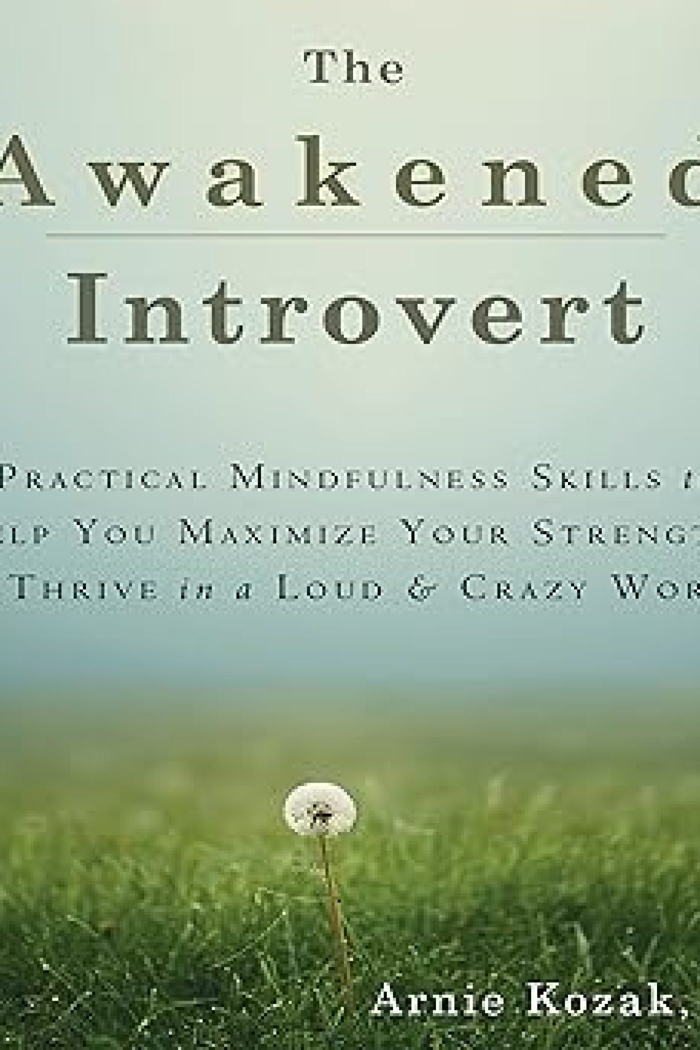 The Awakened Introvert2